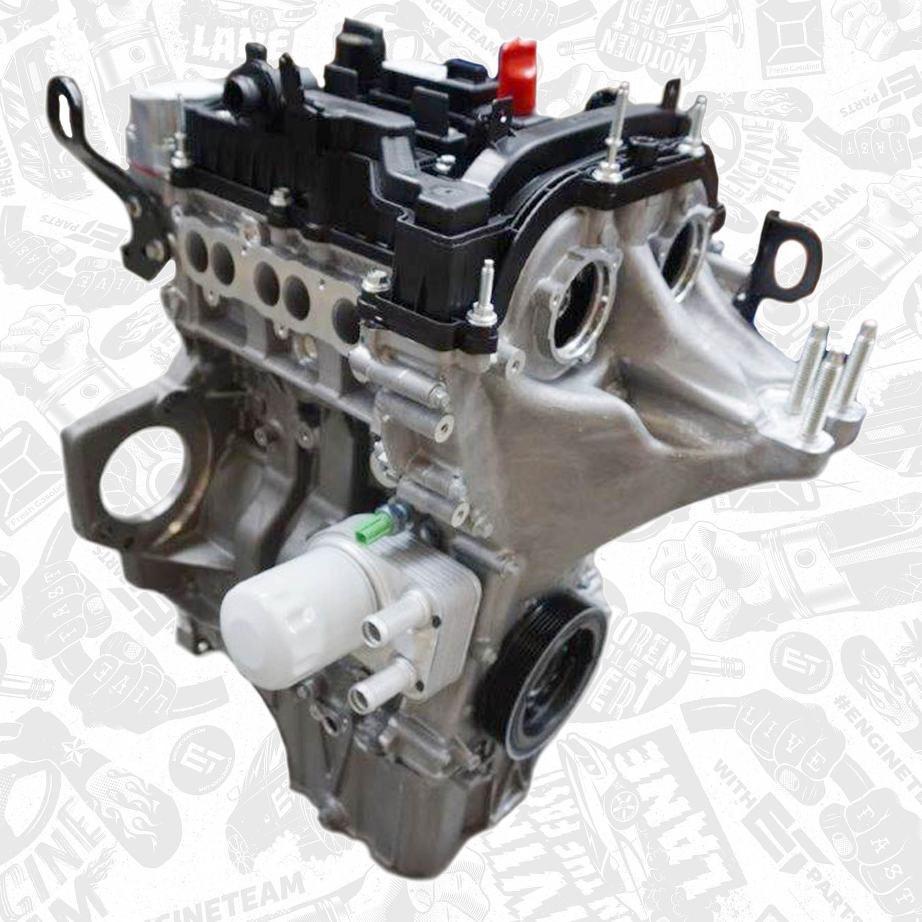 Ford 1,0 EcoBoost Brand New Engine - Image 2